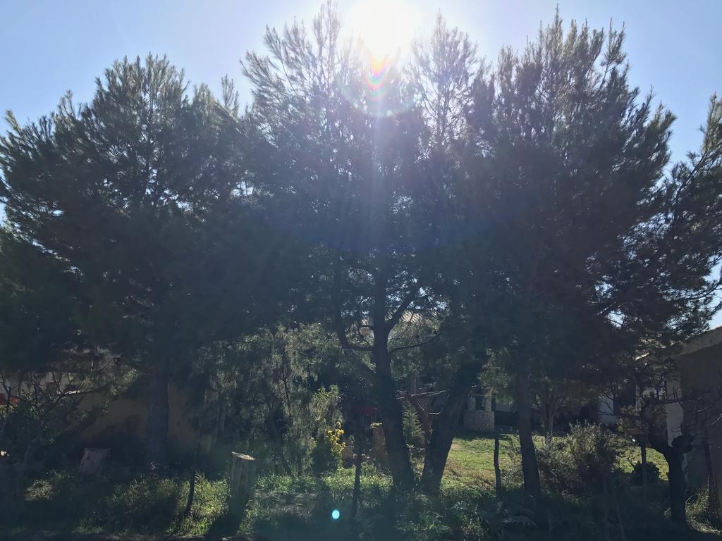 Casa Rural La Granja Letur Exteriér fotografie