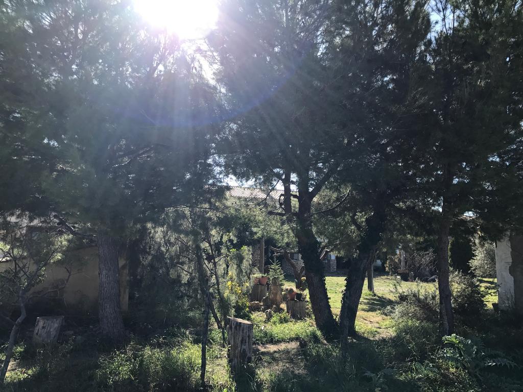 Casa Rural La Granja Letur Exteriér fotografie